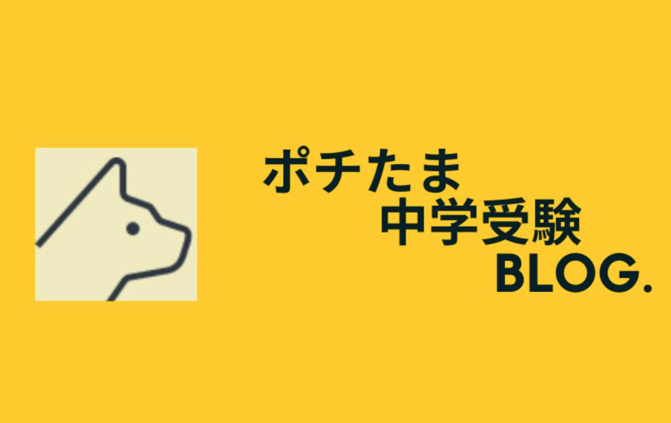 ブログ運営 ポチたま中学受験