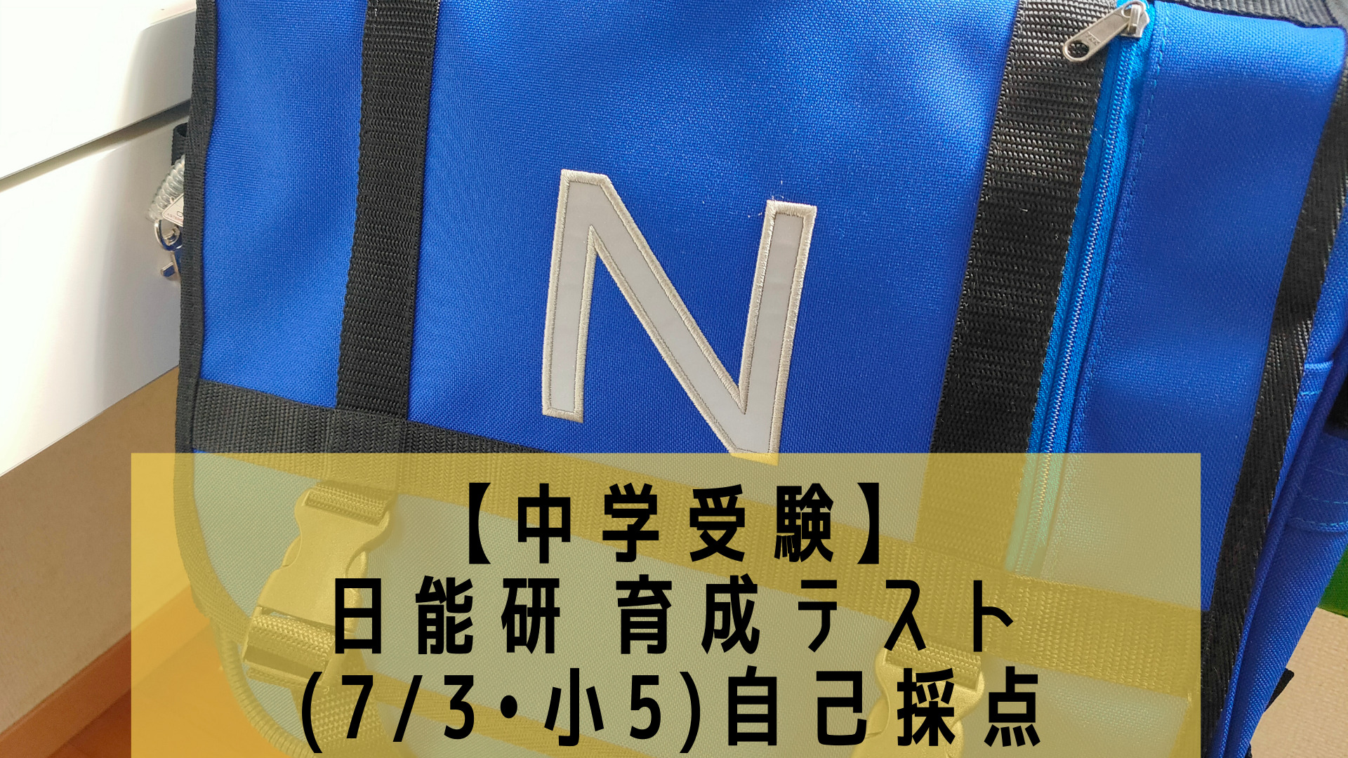 中学受験 日能研 育成テスト 7 3 小5 自己採点 ポチたま中学受験