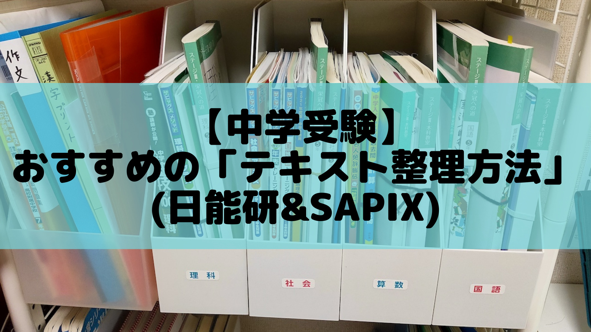 サピックス教材整理用　B4 ファイル　6冊