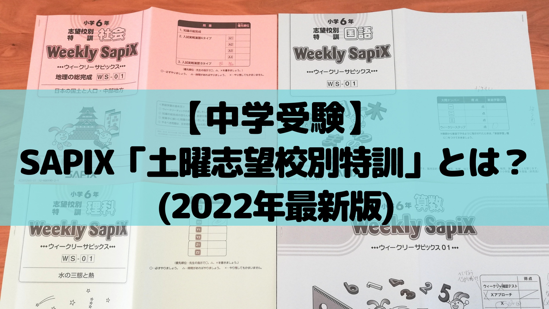 定価の88％ＯＦＦ 2020年度 サピックス 小学6年 国語 asakusa.sub.jp
