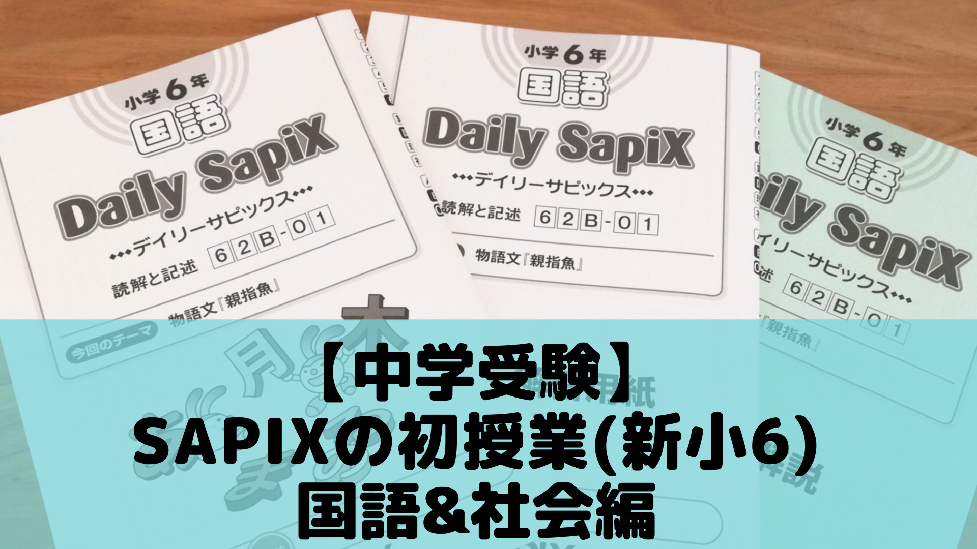 直売新品 SAPIX 6年生 国語 2023年度 - 本