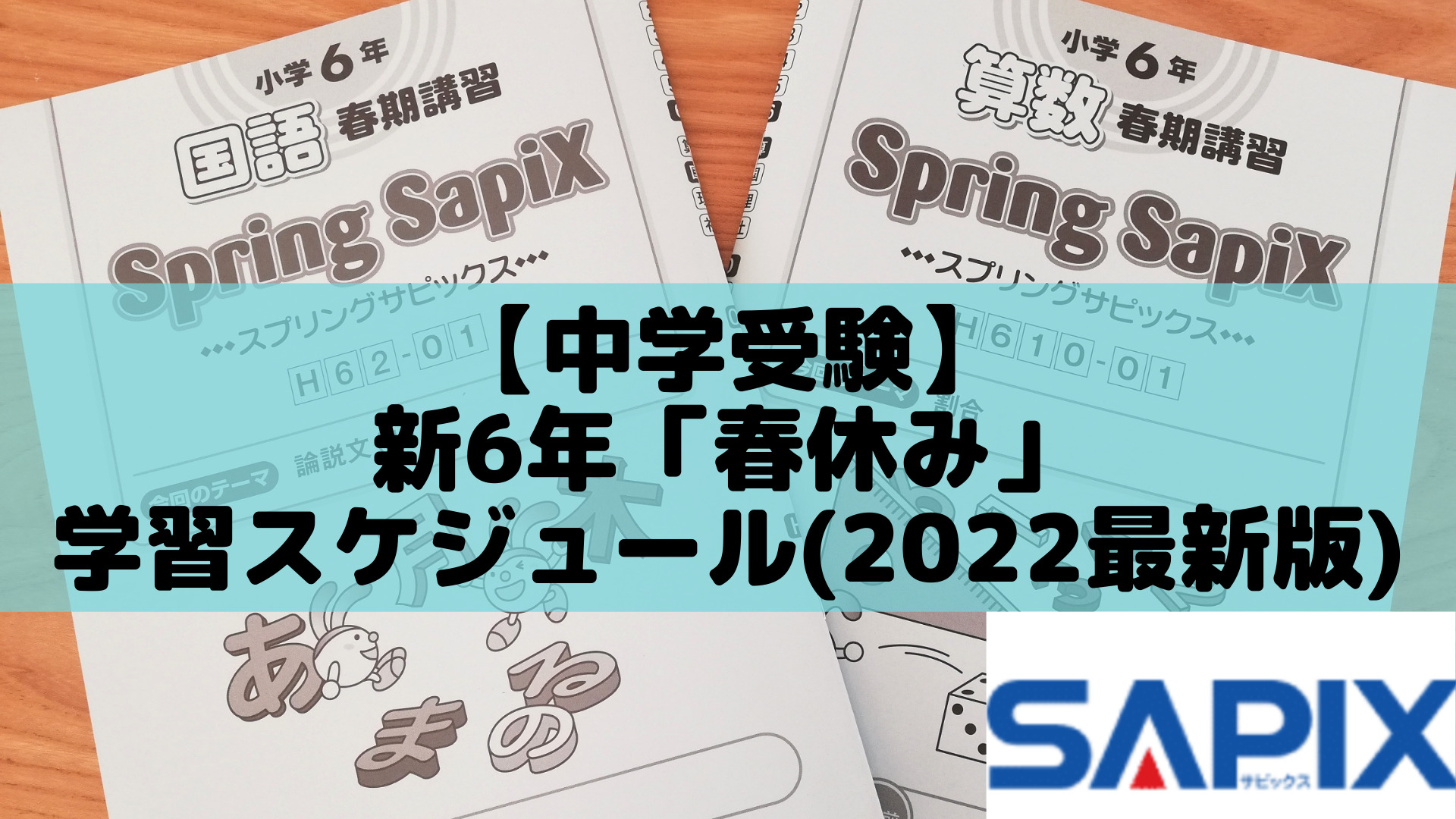 ㉑-D サピックス SAPIX 6年生 国語 Bテキスト 一年分 春期講習