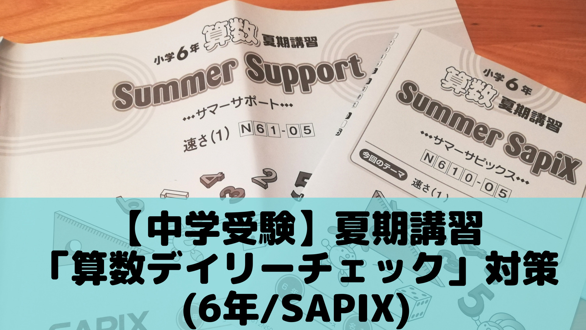 中学受験】夏期講習「算数デイリーチェック」対策(6年/SAPIX) | ポチ