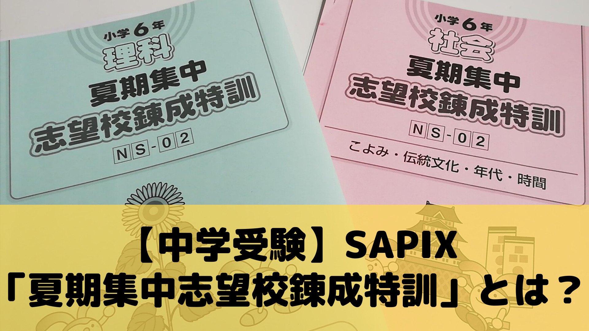 夜空 SAPIX 2023年受験 駒場東邦4教科 夏期集中志望校錬成特訓