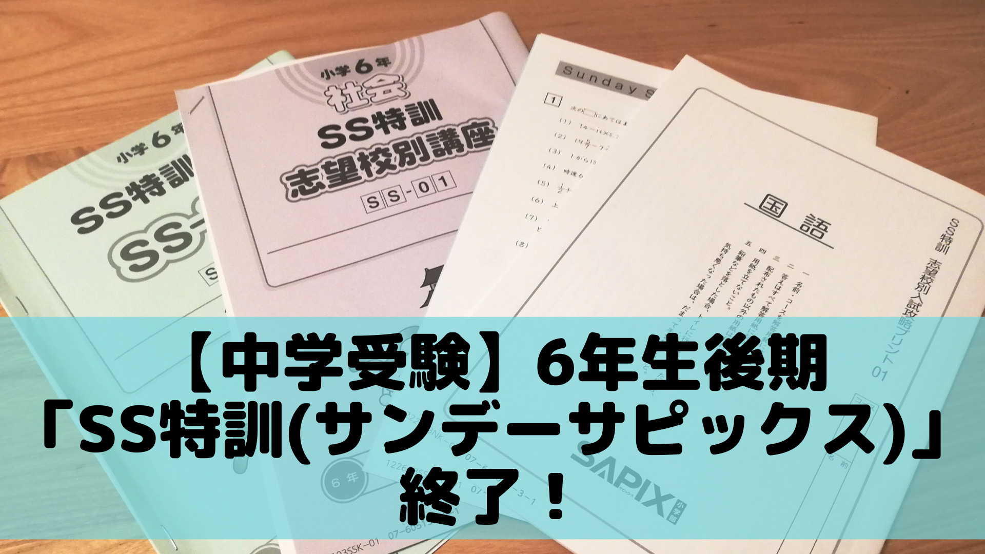 サピックス SS特訓 日曜特訓 算数 桜蔭 SAPIX 6年 - 本